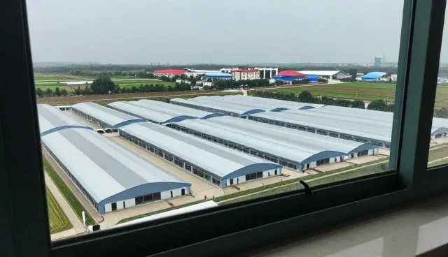设计驱动下的软件研发服务发展趋势分析